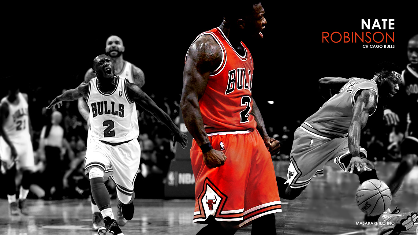 Nate Robinson 01 1366-768